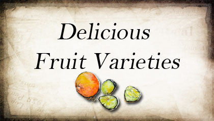 Delicious Fruits